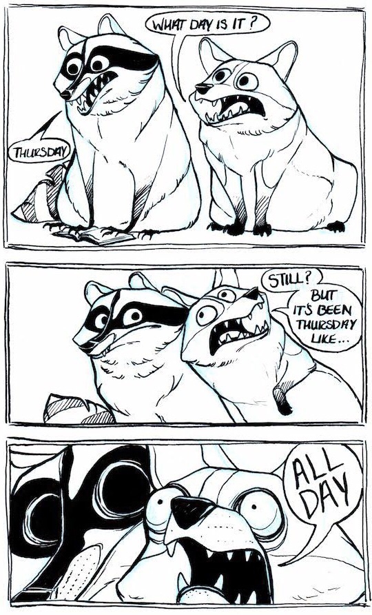 racoon comics - What Day Is It? Kthursday Still? 2 But Its Been Thursday ...
