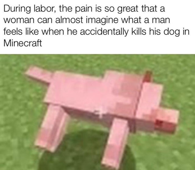 edgy minecraft memes - During labor, the pain is so great that a woman can almost imagine what a man feels when he accidentally kills his dog in Minecraft