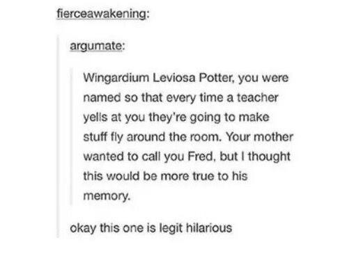 document - fierceawakening argumate Wingardium Leviosa Potter, you were named so that every time a teacher yells at you they're going to make stuff fly around the room. Your mother wanted to call you Fred, but I thought this would be more true to his memo