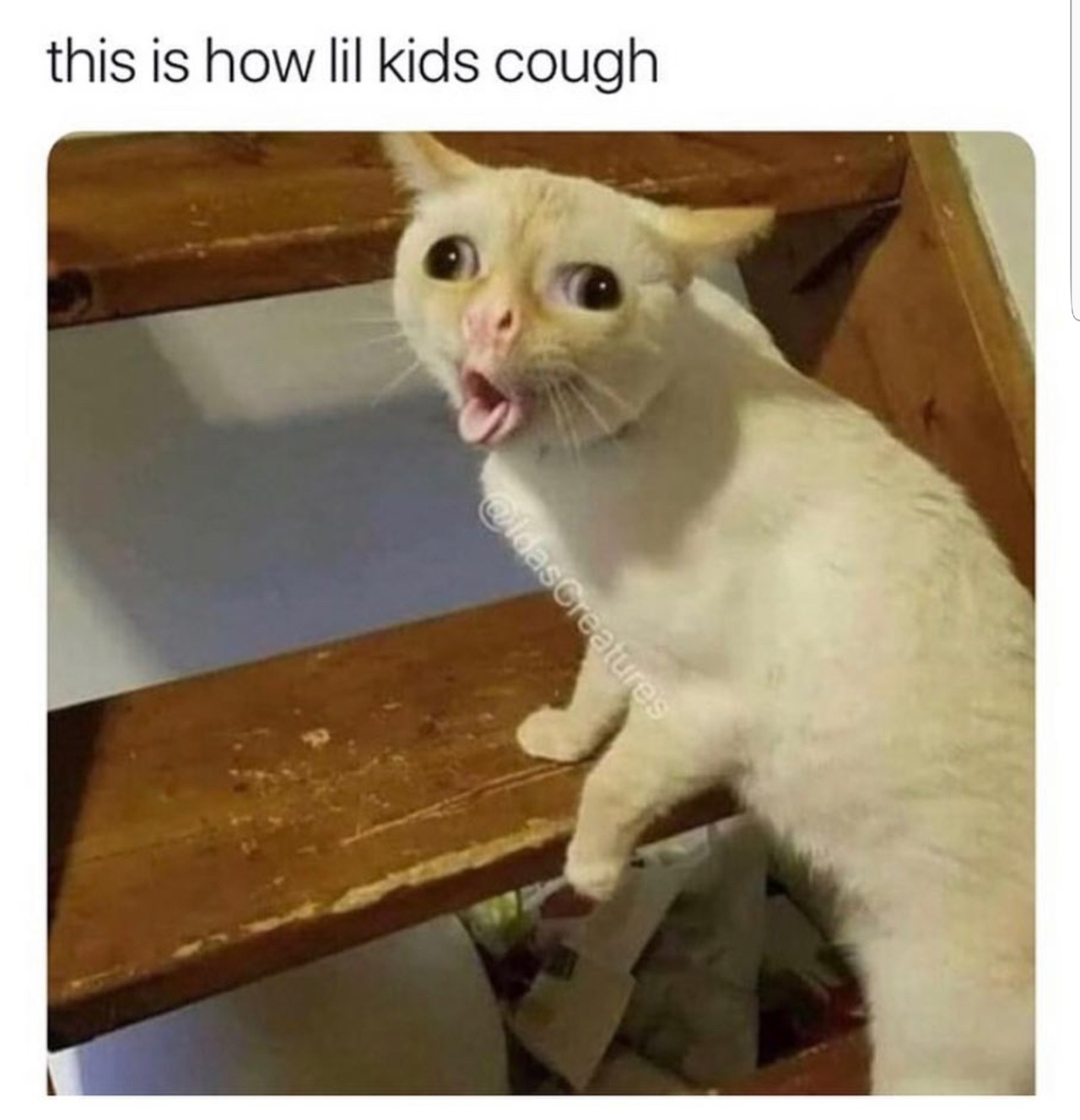 little kids cough meme - this is how lil kids cough OldasCreatures