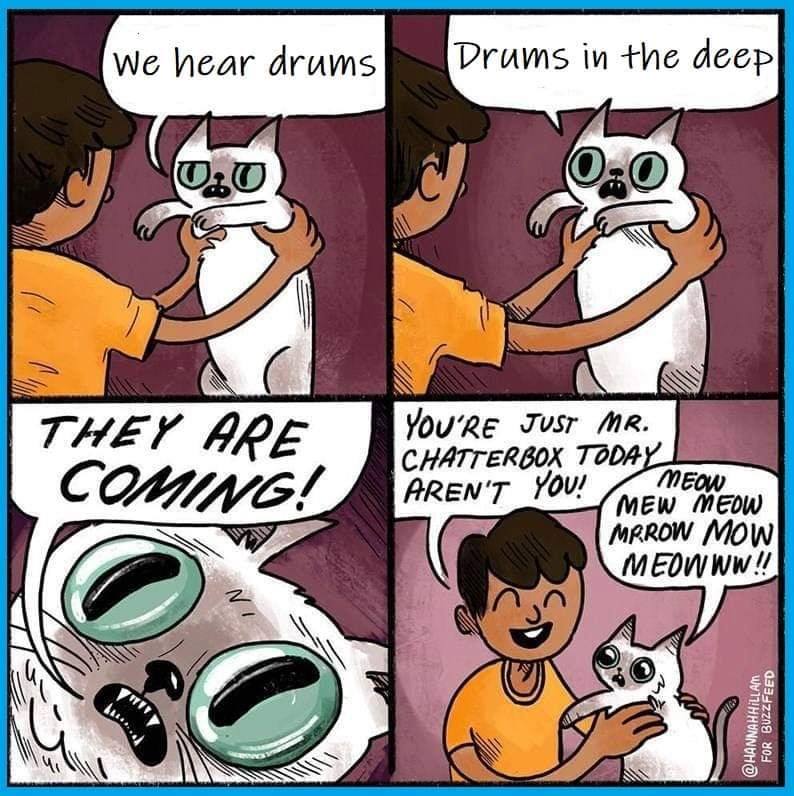 chatterbox meme - we hear drums Drums in the deep They Are Coming! You'Re Just Mr. Chatterbox Today Aren'T You! Meow Mew Meow Mrrow Mow Meowww !! For Buzzfeed