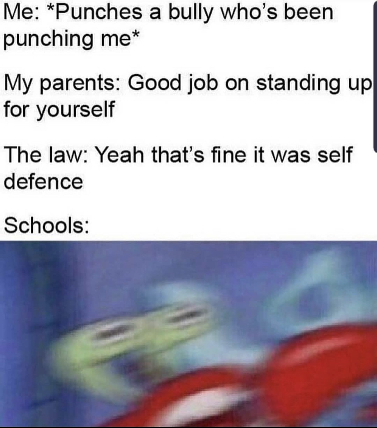 angry - Me Punches a bully who's been punching me My parents Good job on standing up for yourself The law Yeah that's fine it was self defence Schools