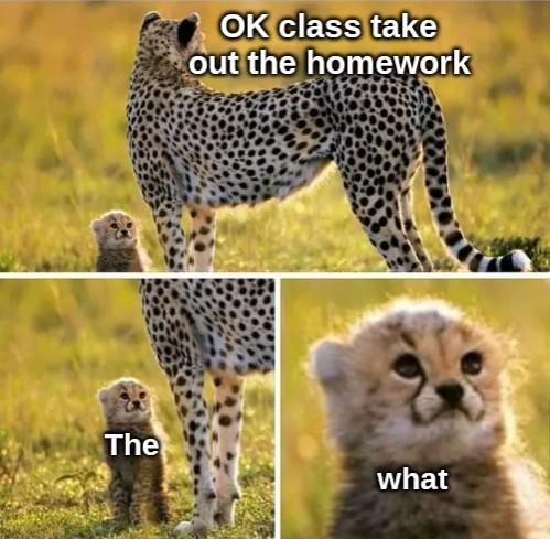 cheetah mom and baby - P Ok class take out the homework The what