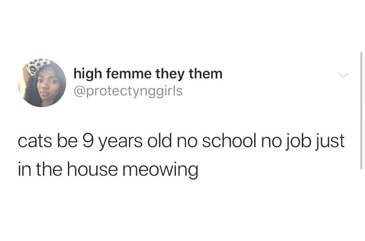 high femme they them cats be 9 years old no school no job just in the house meowing