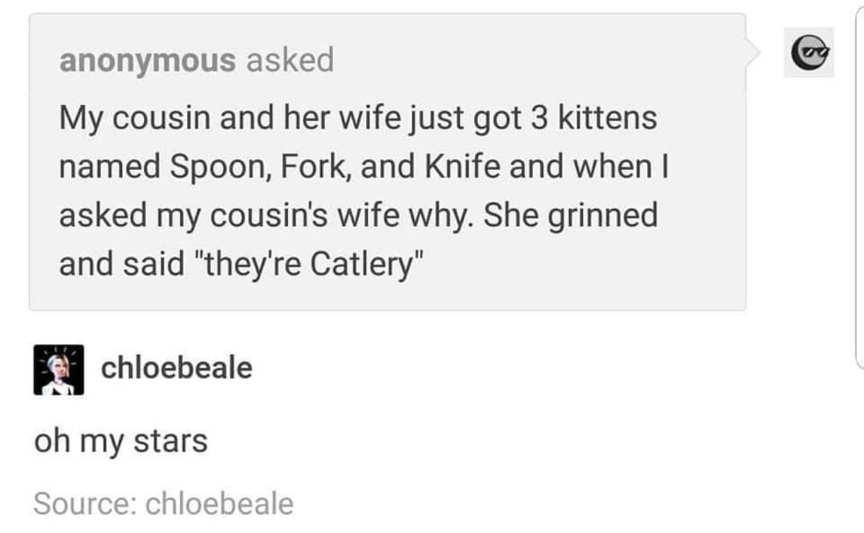 document - anonymous asked My cousin and her wife just got 3 kittens named Spoon, Fork, and Knife and when I asked my cousin's wife why. She grinned and said "they're Catlery" chloebeale oh my stars Source chloebeale