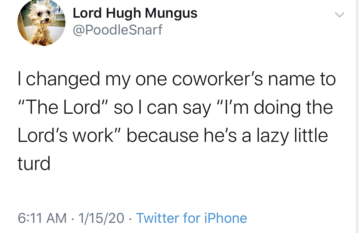 angle - Lord Hugh Mungus I changed my one coworker's name to "The Lord" sol can say "I'm doing the Lord's work" because he's a lazy little turd 11520 Twitter for iPhone