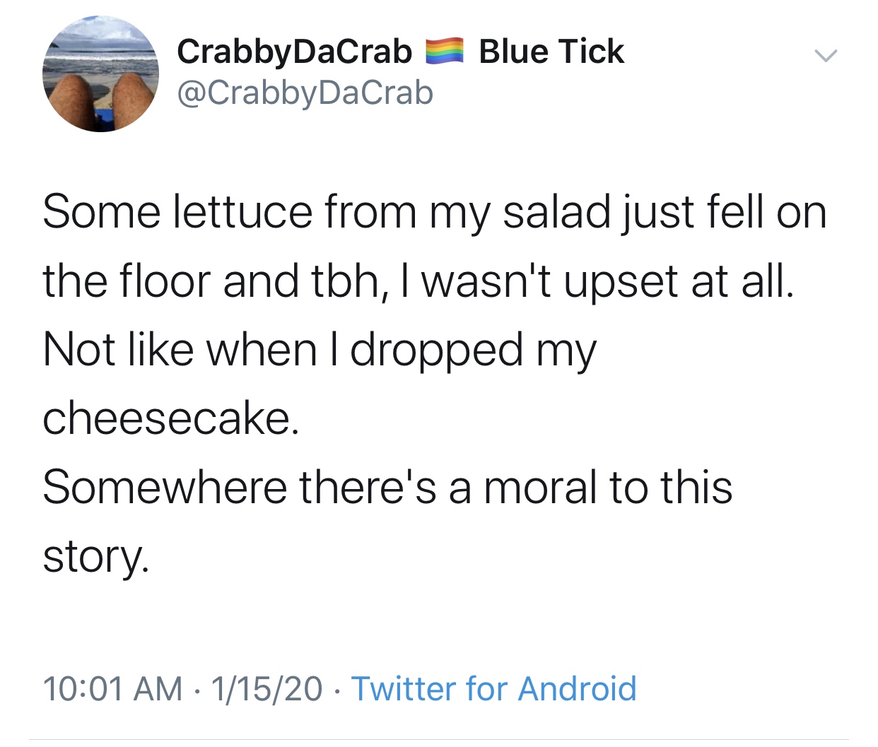 quotes - Blue Tick CrabbyDaCrab Some lettuce from my salad just fell on the floor and tbh, I wasn't upset at all. Not when I dropped my cheesecake. Somewhere there's a moral to this story. 11520 Twitter for Android