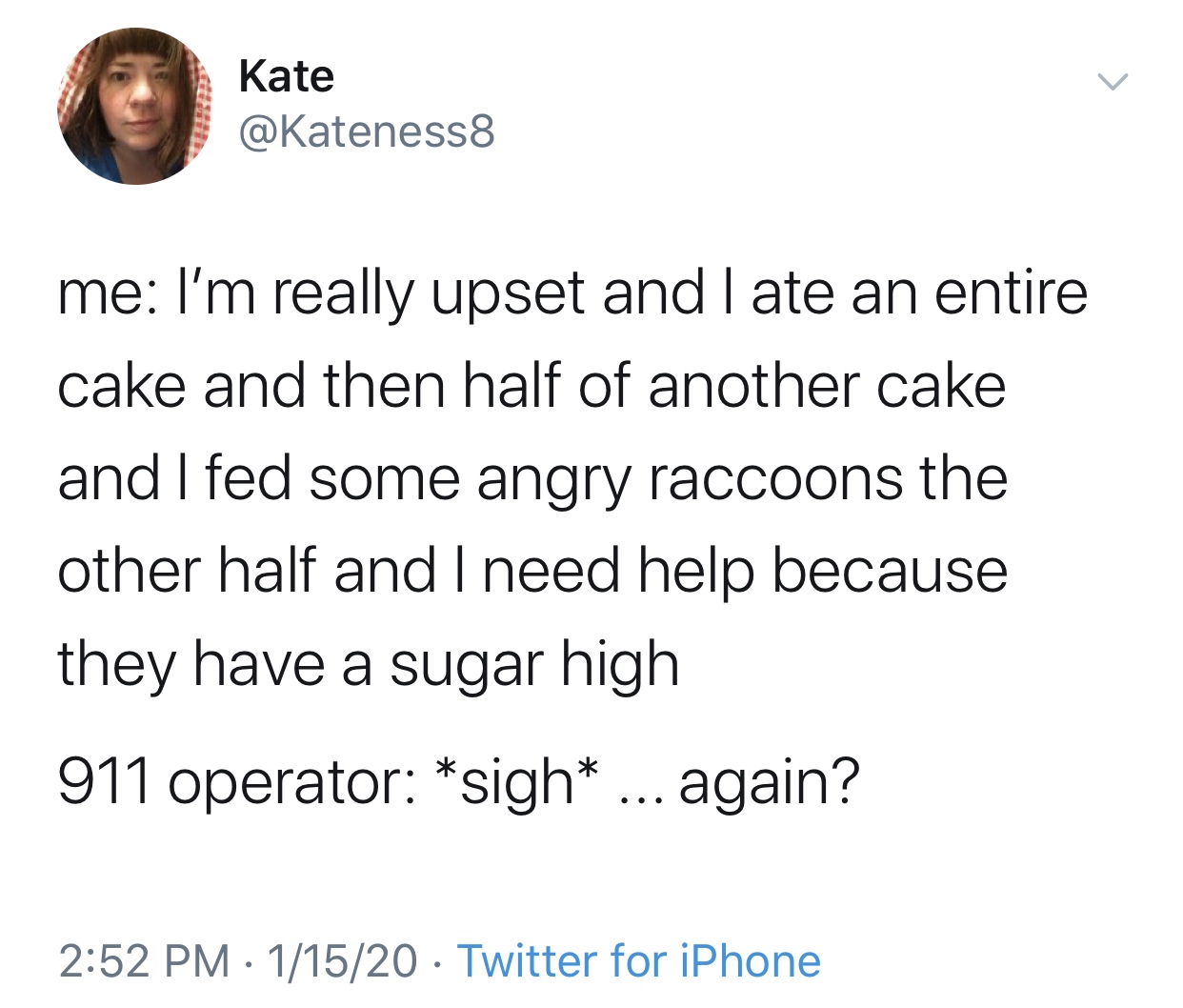 angle - Kate me I'm really upset and late an entire cake and then half of another cake and I fed some angry raccoons the other half and I need help because they have a sugar high 911 operator sigh ... again? 11520 Twitter for iPhone