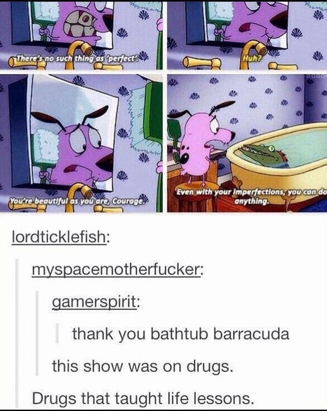 funny cartoon tumblr posts - There's no such thing as perfect You're beautiful as you are, Courage Even with your Imperfections, you can do anything. lordticklefish myspacemotherfucker gamerspirit thank you bathtub barracuda this show was on drugs. Drugs 
