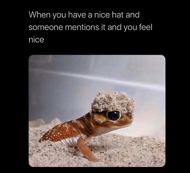 you have a nice hat and someone mentions it - When you have a nice hat and someone mentions it and you feel nice
