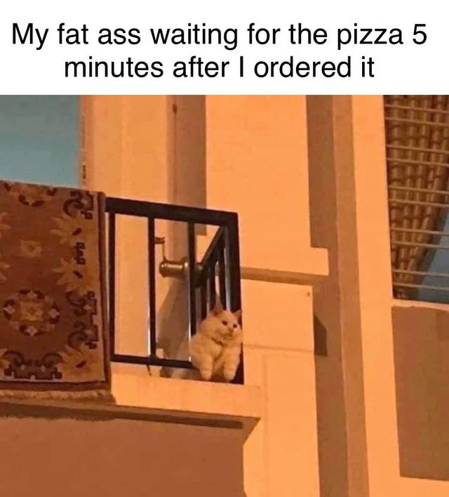 My fat ass waiting for the pizza 5 minutes after I ordered it ber