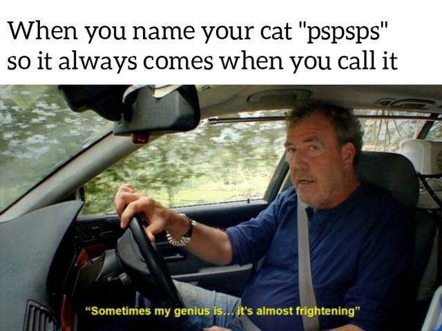 my genius it's almost frightening - When you name your cat "pspsps" so it always comes when you call it "Sometimes my genius is... it's almost frightening"