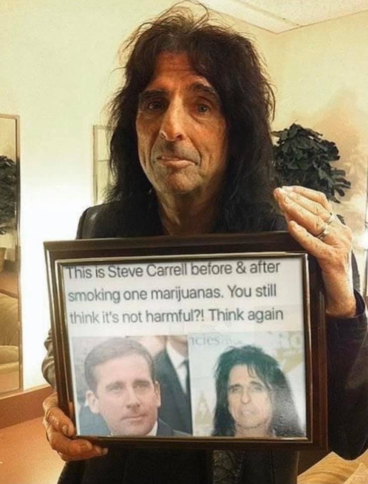 steve carell and alice cooper - This is Steve Carrell before & after smoking one marijuanas. You still I think it's not harmful?! Think again ces