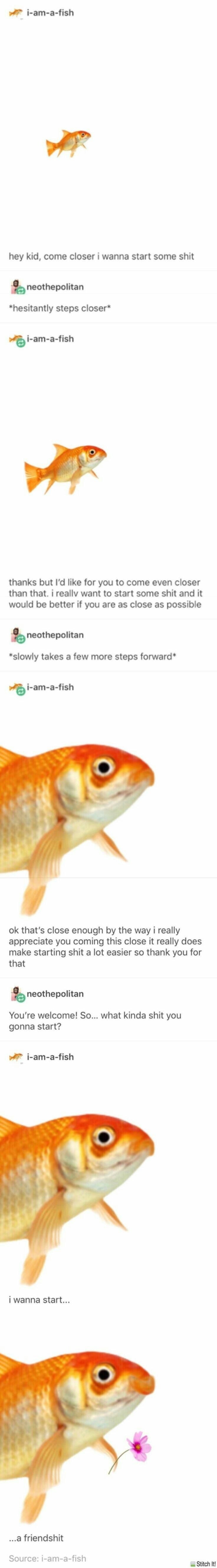 am a fish tumblr drama - iamafish hey kid, come closer i wanna start some shit Y neothepolitan hesitantly steps closer iamafish thanks but I'd for you to come even closer than that. i really want to start some shit and it would be better if you are as clo