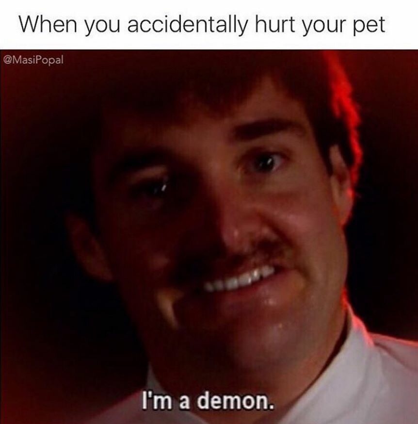 you accidentally hurt your pet - When you accidentally hurt your pet I'm a demon.