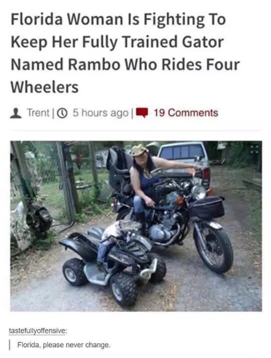 florida woman is fighting to keep gator - Florida Woman Is Fighting To Keep Her Fully Trained Gator Named Rambo Who Rides Four Wheelers Trent 10 5 hours ago 1 19 tastefullyoffensive Florida, please never change.