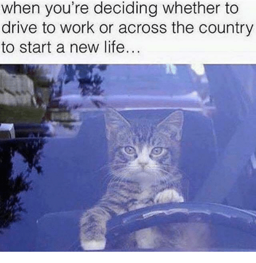 you re deciding whether to drive - when you're deciding whether to drive to work or across the country to start a new life...