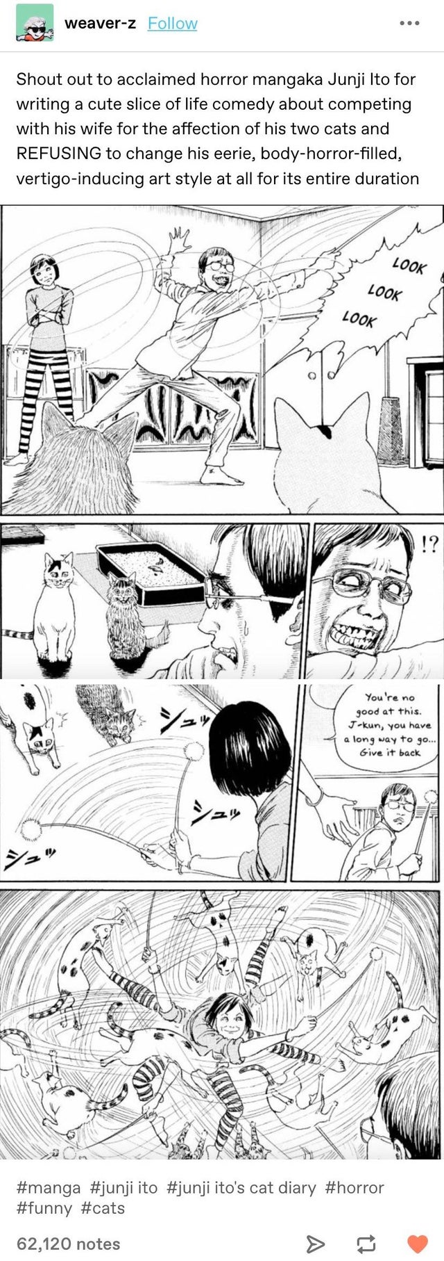 cartoon - weaverz Shout out to acclaimed horror mangaka Junji Ito for writing a cute slice of life comedy about competing with his wife for the affection of his two cats and Refusing to change his eerie, bodyhorrorfilled, vertigoinducing art style at all 