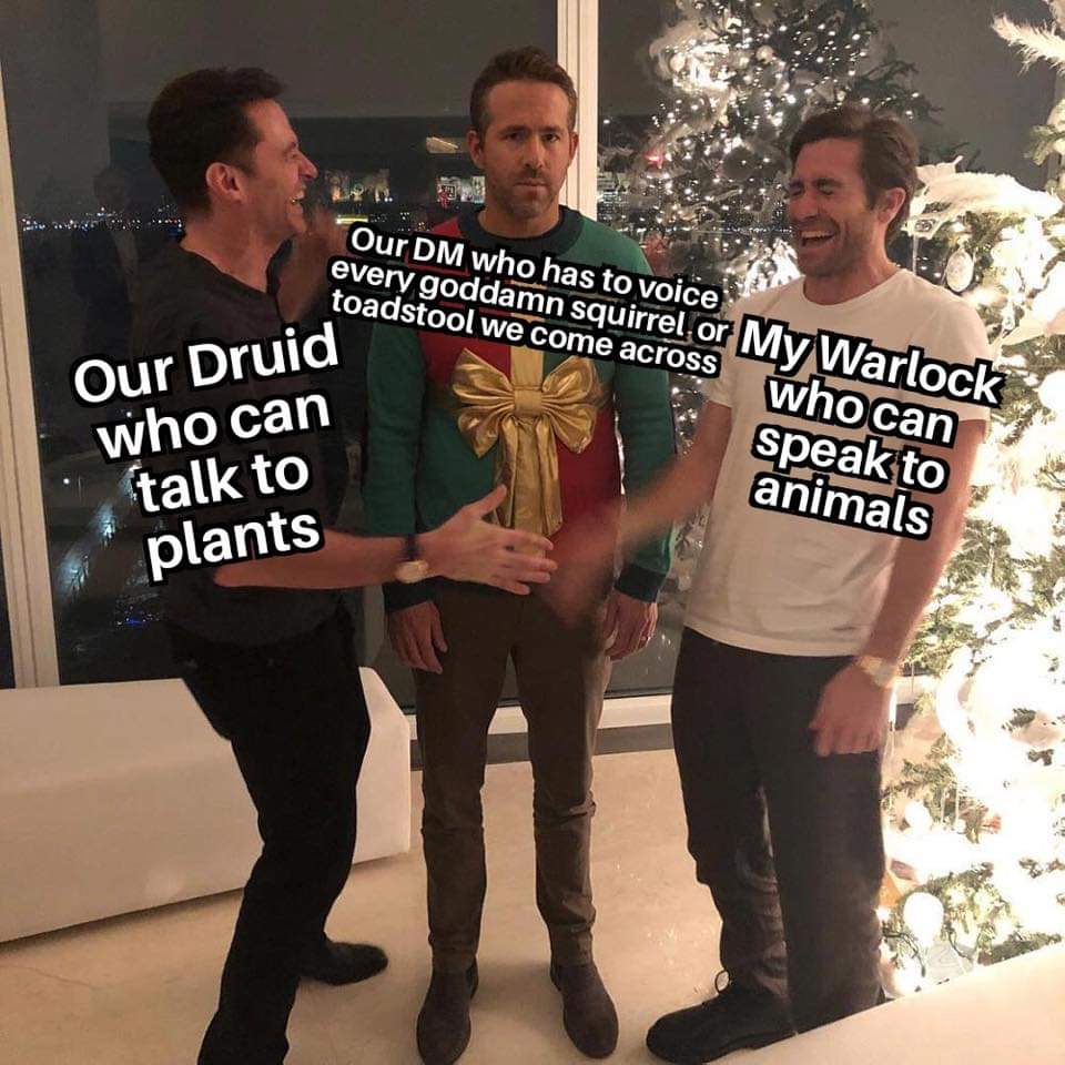 silk road memes - Our Dm who has to voice every goddamn squirrel, or toadstool we come across Our Druid who can talk to plants who can speak to animals