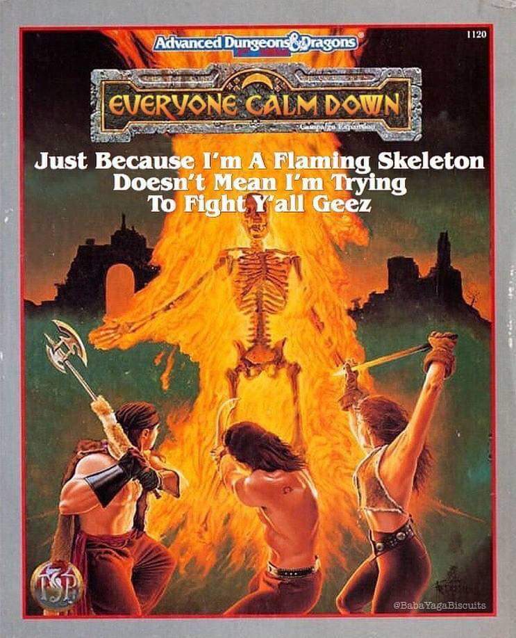 ruins of zhentil keep - 1120 Advanced Dungeons Dragons Everyone Calm Down Just Because I'm A Flaming Skeleton Doesn't Mean I'm Trying To Fight Y'all Geez 2. YagaBiscuits