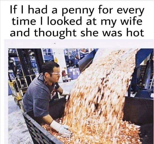 if i had a penny for everytime - If I had a penny for every time I looked at my wife and thought she was hot