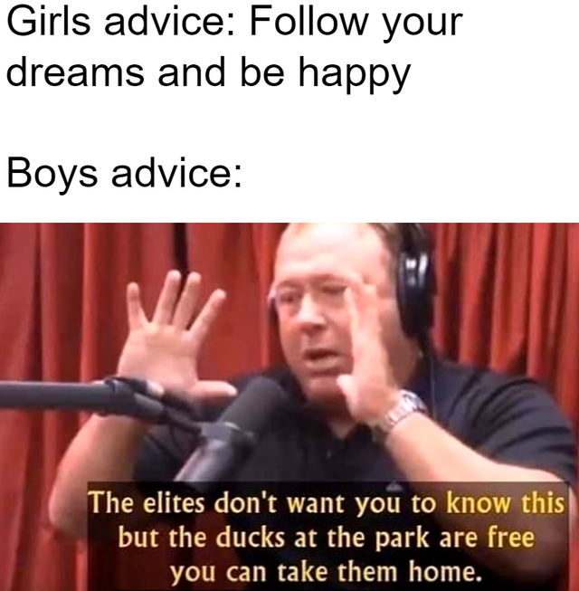 Internet meme - Girls advice your dreams and be happy Boys advice The elites don't want you to know this but the ducks at the park are free you can take them home.