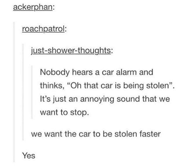 memes funny tumblr posts - ackerphan roachpatrol justshowerthoughts Nobody hears a car alarm and thinks, "Oh that car is being stolen. It's just an annoying sound that we want to stop. we want the car to be stolen faster Yes