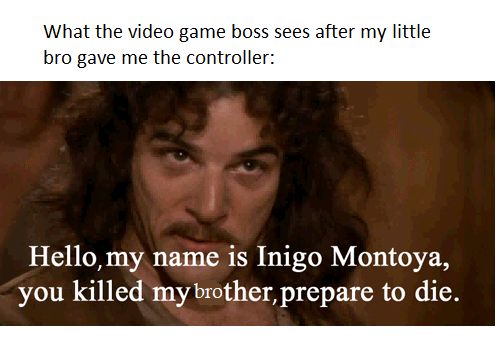 photo caption - What the video game boss sees after my little bro gave me the controller Hello, my name is Inigo Montoya, you killed my brother, prepare to die.