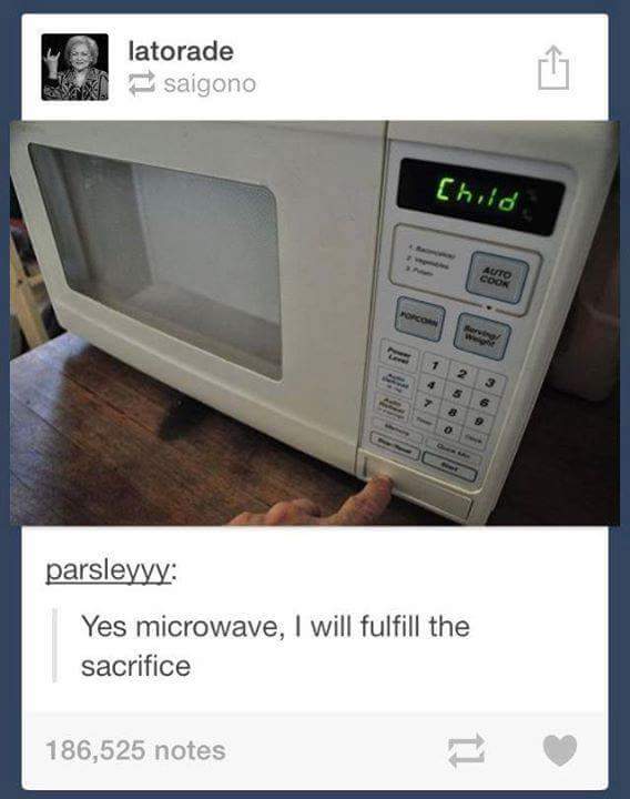 child microwave meme - latorade saigono Child Auto Cook parsleyyy Yes microwave, I will fulfill the sacrifice 186,525 notes
