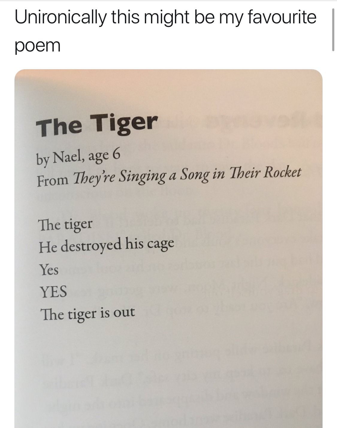 message - Unironically this might be my favourite poem The Tiger by Nael, age 6 From They're Singing a Song in Their Rocket The tiger He destroyed his cage Yes Yes The tiger is out