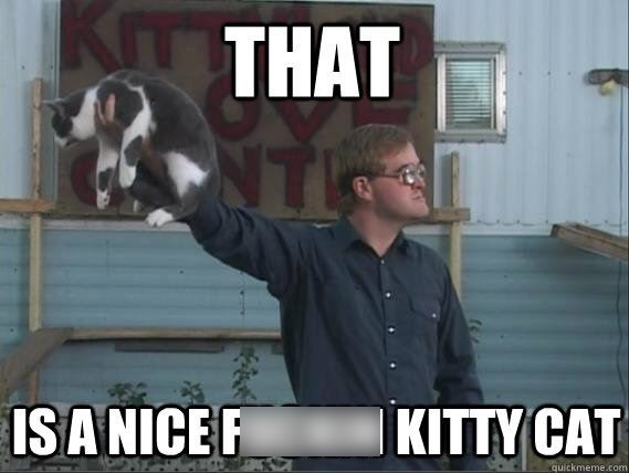 nice fucking kitty cat - That Is A Nicef Kitty Cat quickmeme.com
