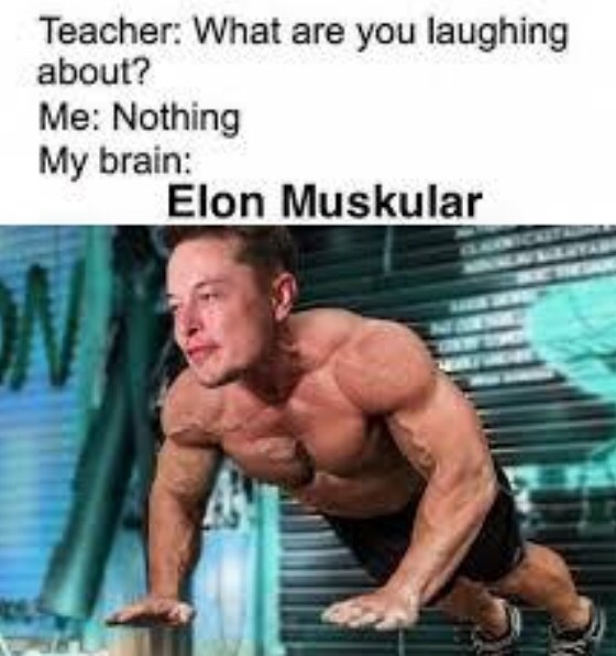funny dank memes - Teacher What are you laughing about? Me Nothing My brain Elon Muskular