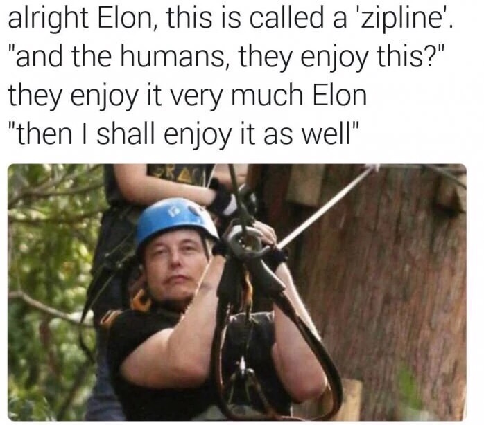 elon musk zipline meme - alright Elon, this is called a 'zipline'. "and the humans, they enjoy this?" they enjoy it very much Elon "then I shall enjoy it as well
