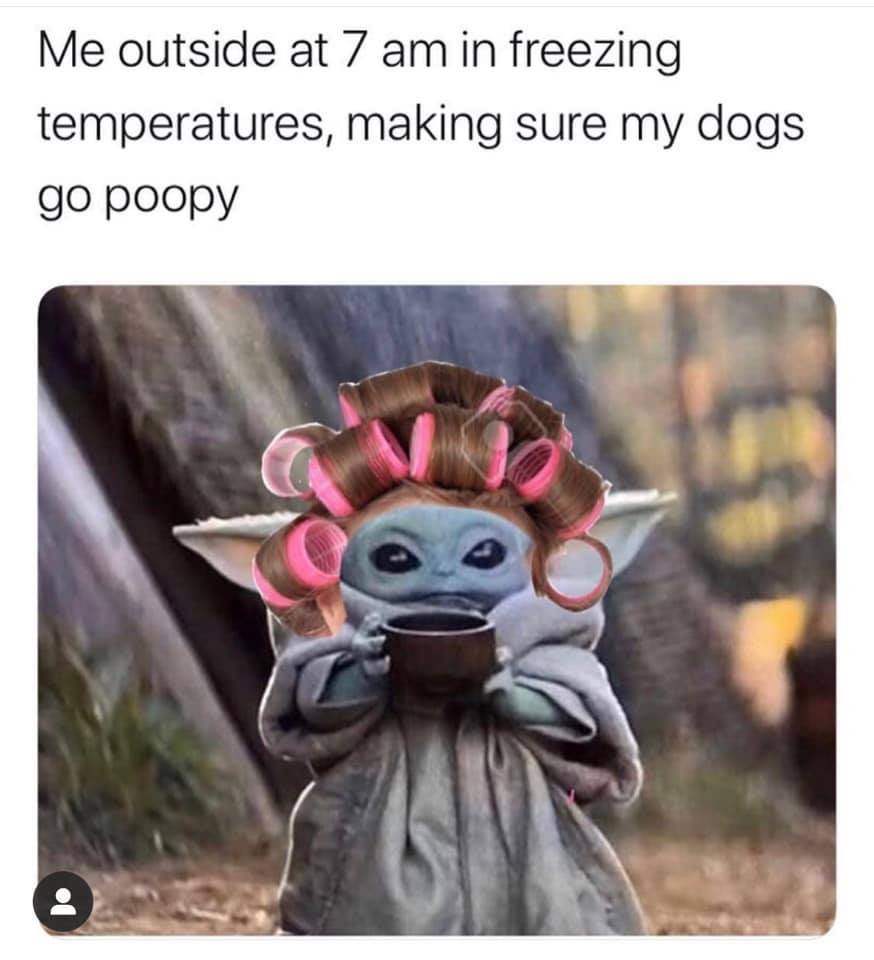 baby yoda supervisor meme - Me outside at 7 am in freezing temperatures, making sure my dogs go poopy