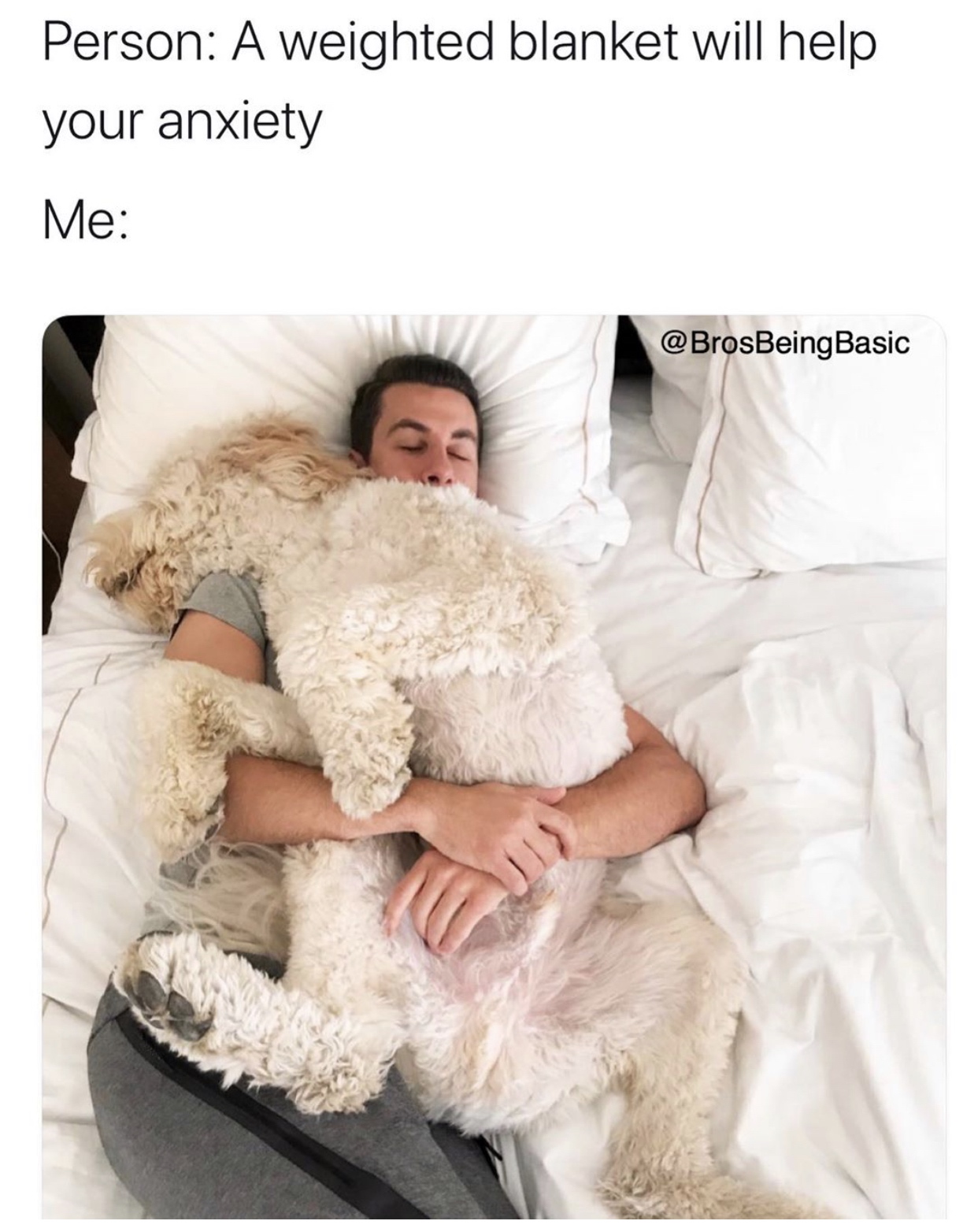 fur - Person A weighted blanket will help your anxiety Me Basic