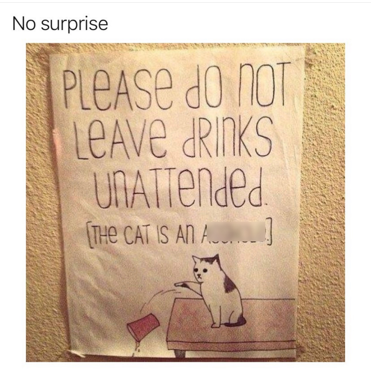 pet - No surprise Please Do Not Leave Drinks UNATTended The Cat Is An Ac..