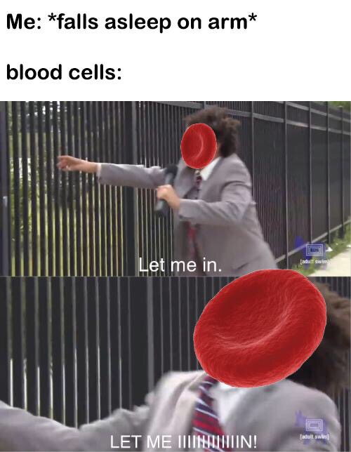funny let me in memes - Me falls asleep on arm blood cells Let me in. Let Me Minuun!