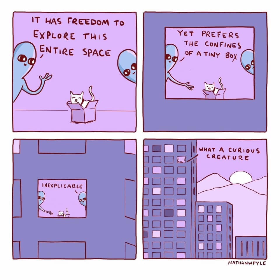 nathan w pyle - It Has Freedom To Explore This Entire Space Yet Prefers The Confines Of A Tiny Box What A Curious Creature Inexplicable Uuuuuuuuuuu Uuuuiiiiii Okuuuiiiiio Do Nathanwpyle