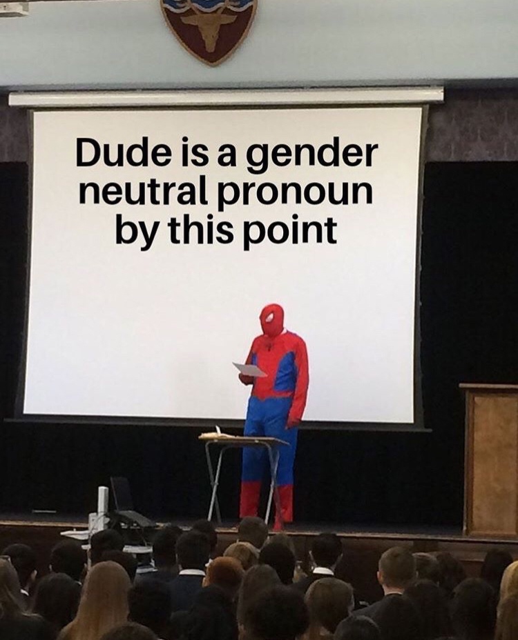 teaching spiderman meme - Dude is a gender neutral pronoun by this point