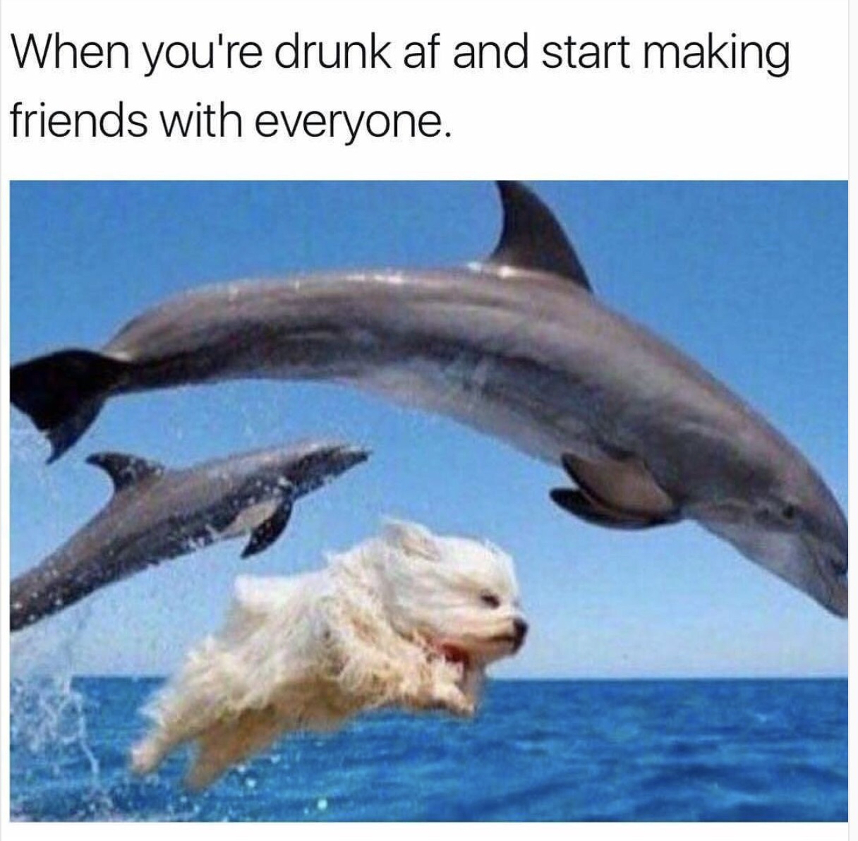 you are drunk and start making friends - When you're drunk af and start making friends with everyone.