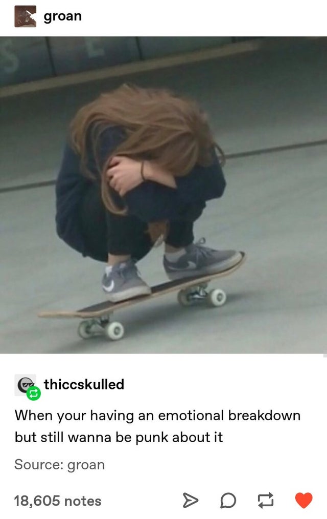 aesthetic bio on instagram skater - groan e thiccskulled When your having an emotional breakdown but still wanna be punk about it Source groan 18,605 notes