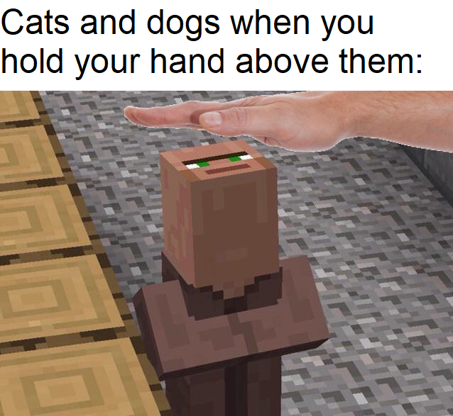 villager looking up meme - Cats and dogs when you hold your hand above them