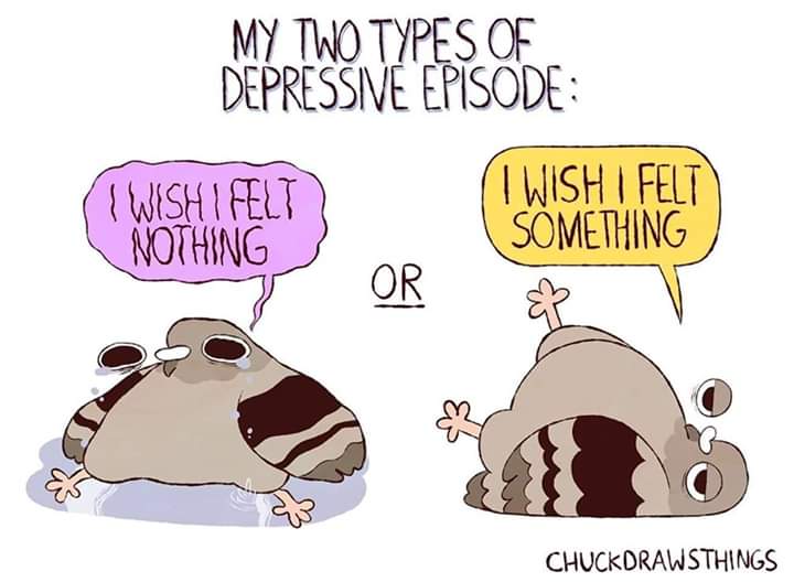 cartoon - My Two Types Of Depressive Episode I Wishi Felt I Wish I Felt Nothing Something 7 Or 5W Chuckdrawsthings