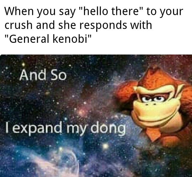 so i expand my dong - When you say "hello there" to your crush and she responds with "General kenobi" And So I expand my doing