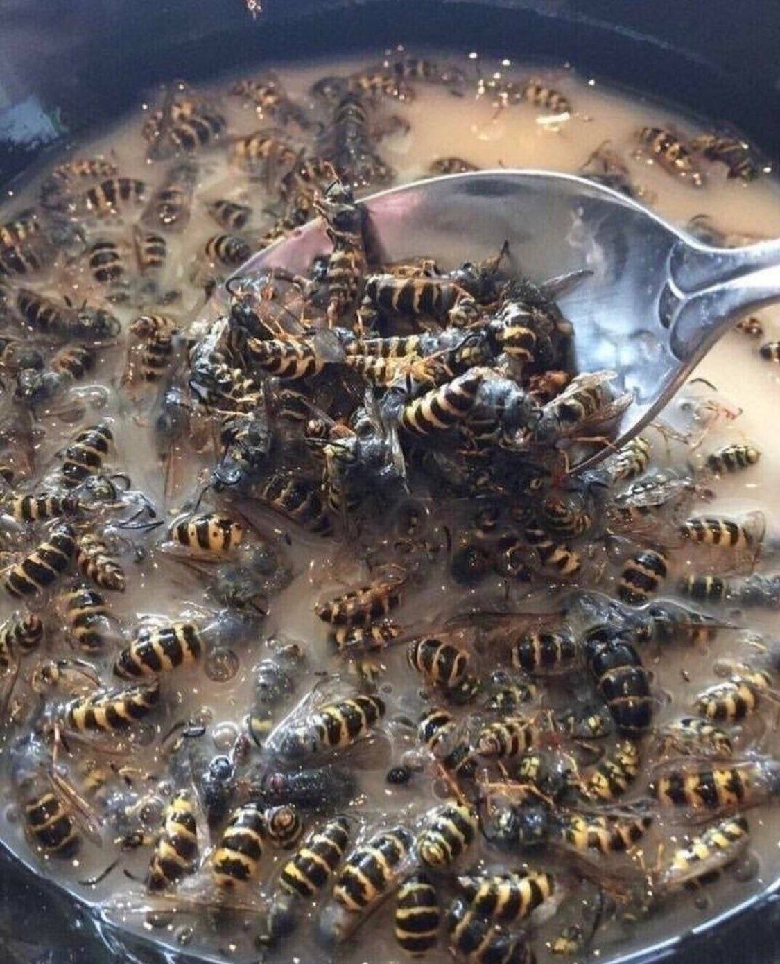 cursed images bees