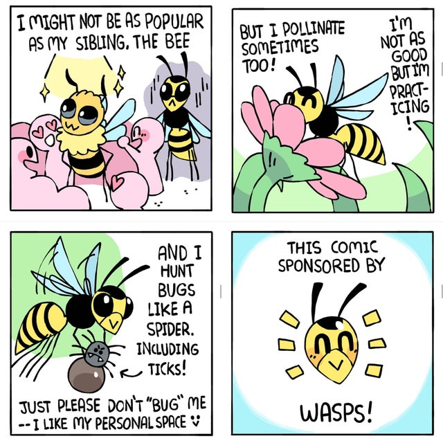 cartoon - I Might Not Be As Popular As My Sibling. The Bee I'm But I Pollinate Sometimes Too! Not As Good But I'M Pract Icing This Comic Sponsored By And I Hunt Bugs A Spider. Including Ticks! Just Please Don'T "Bug Me I My Personal Space Wasps!