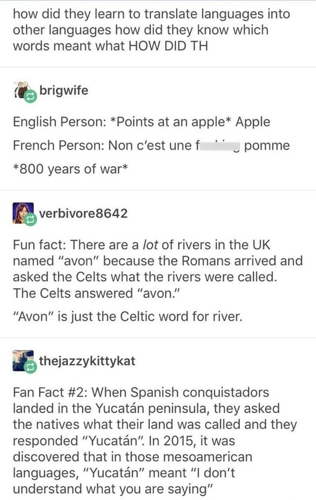 memes about french language - how did they learn to translate languages into other languages how did they know which words meant what How Did Th brigwife English Person Points at an apple Apple French Person Non c'est une f " pomme 800 years of war verbiv