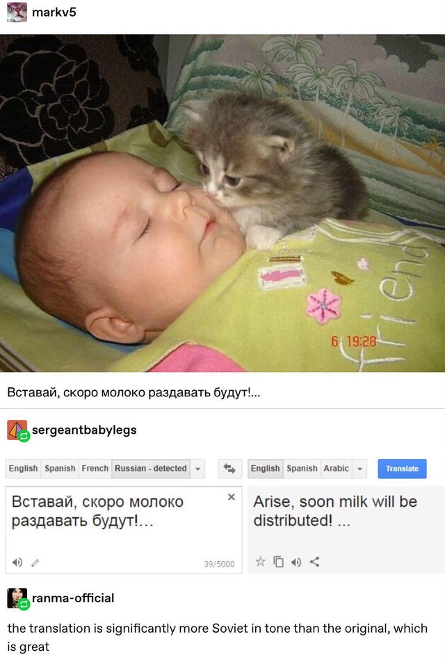 russian cat - markv5 6 , !... sergeantbabylegs English Spanish French Russian detected English Spanish Arabic Translate , !... Arise, soon milk will be distributed! ... 395000 Paranmaofficial the translation is significantly more Soviet in tone than the o