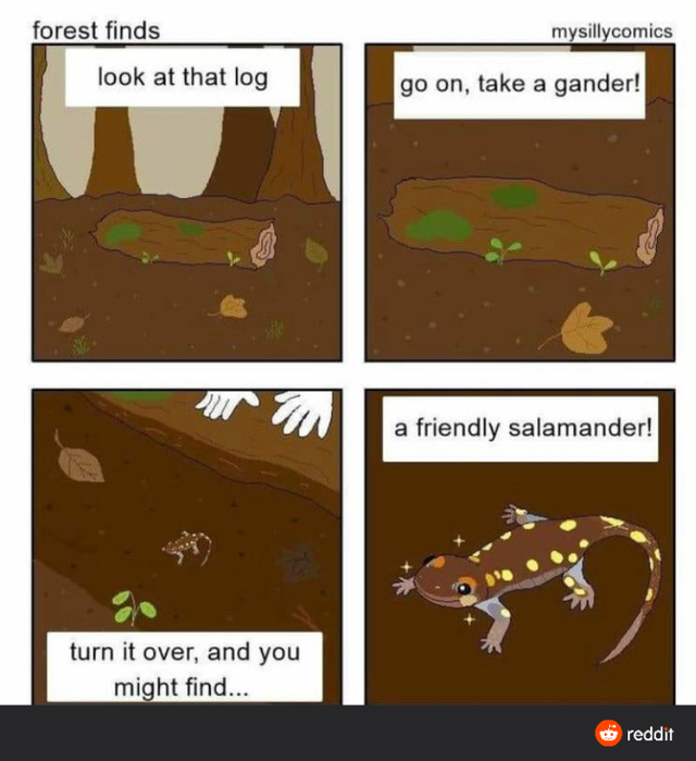 friendly salamander meme - forest finds mysillycomics look at that log go on, take a gander! a friendly salamander! turn it over, and you might find... reddit