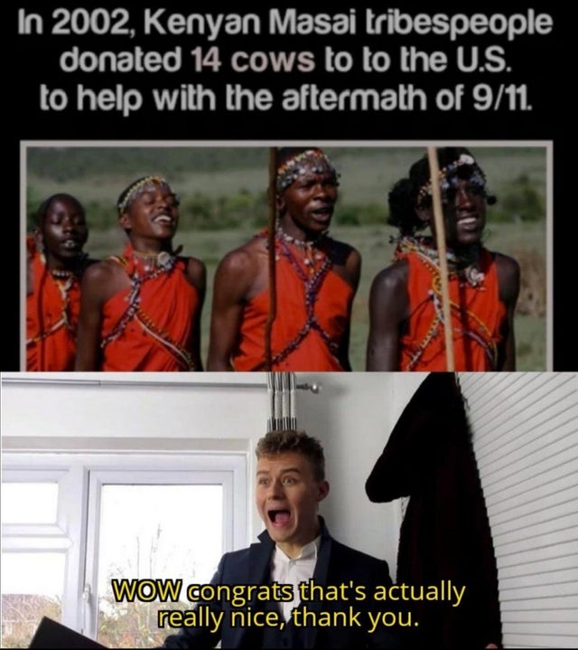 maasai memes - In 2002, Kenyan Masai tribespeople donated 14 cows to to the U.S. to help with the aftermath of 911 Wow congrats that's actually really nice, thank you.